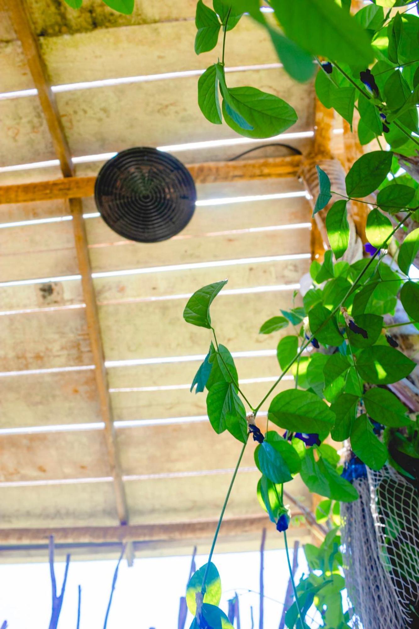 Pousada Rancho Luar Porto de Pedras Ngoại thất bức ảnh